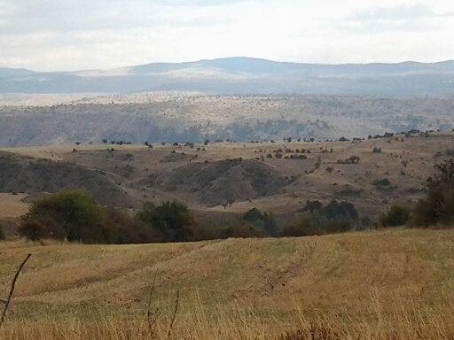 Turquie - Sur la route de Gerede paysage